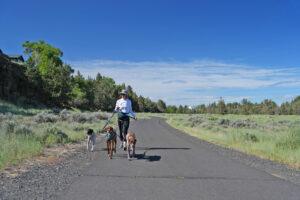 Bring Your Best Friend to the Basecamp