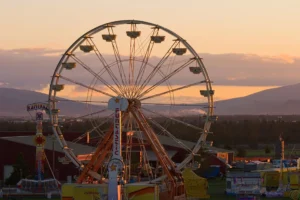 Terms &amp; Conditions