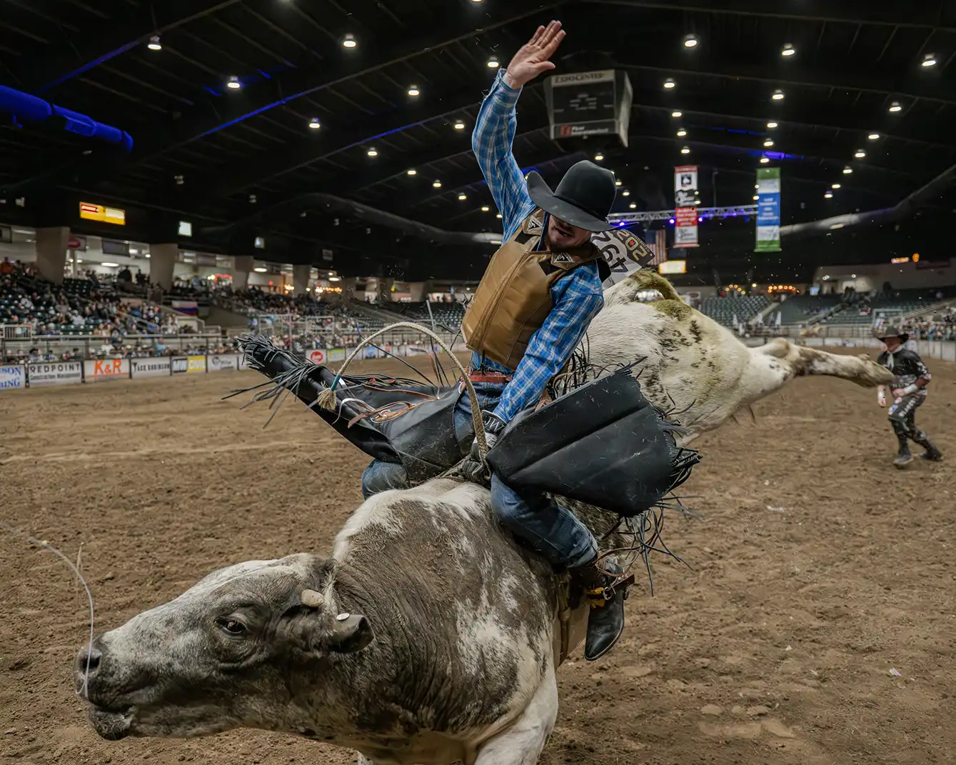 High Desert Stampede