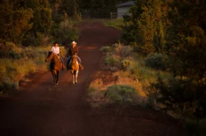 Giddy-Up in Redmond