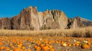 Enjoy Halloween in Redmond