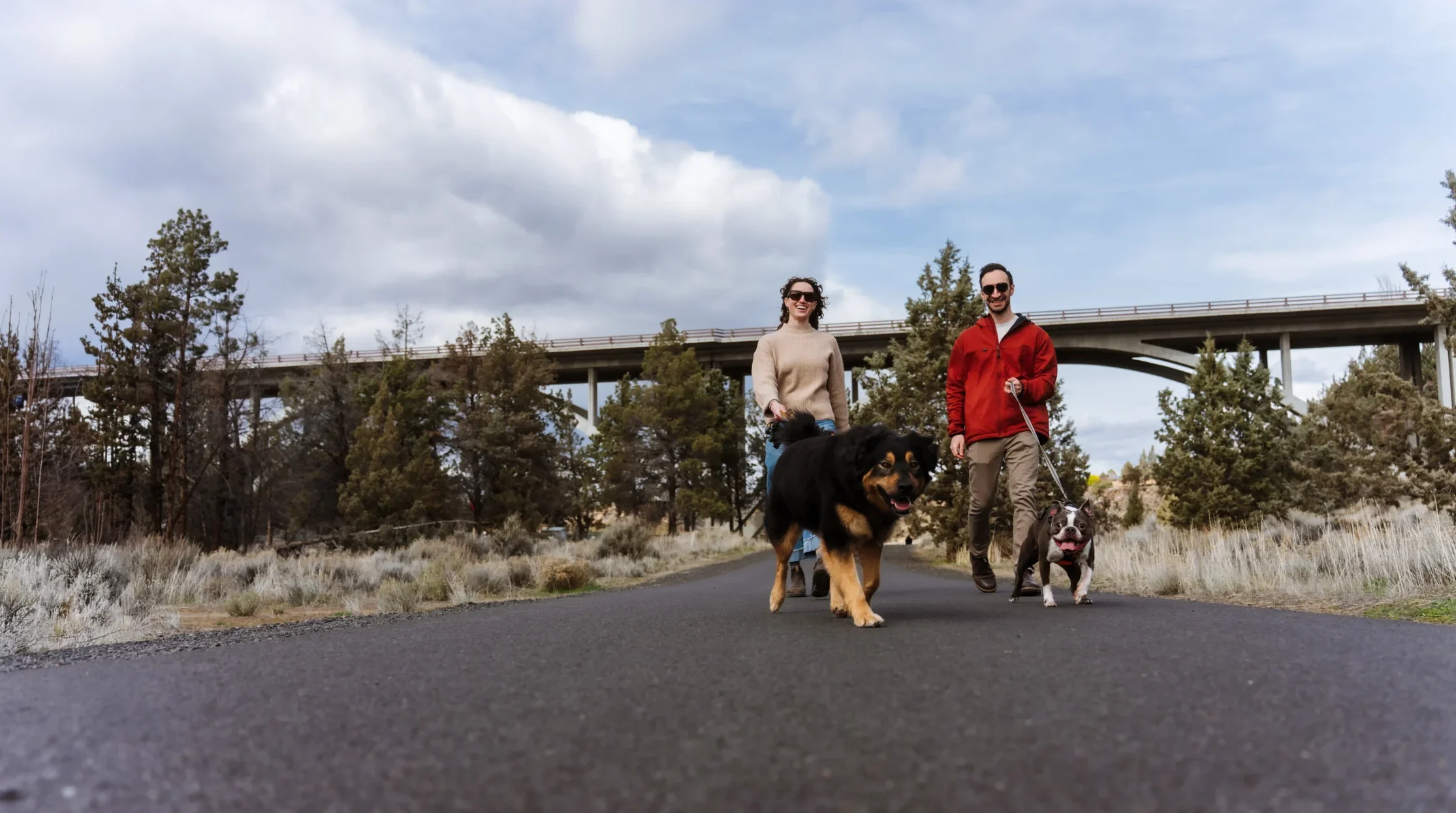 Dog walkers in Dry Canyon