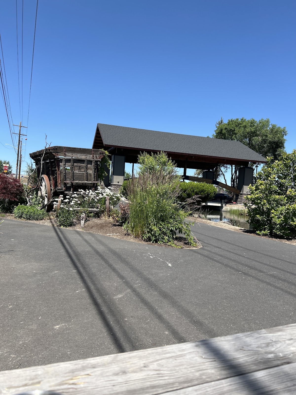 Luna's Taqueria - Photo 3